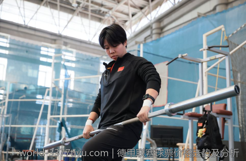 德甲联赛球票价格走势及分析