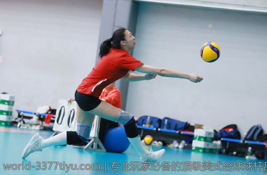 专业玩家必备的顶级美式台球球杆品牌介绍