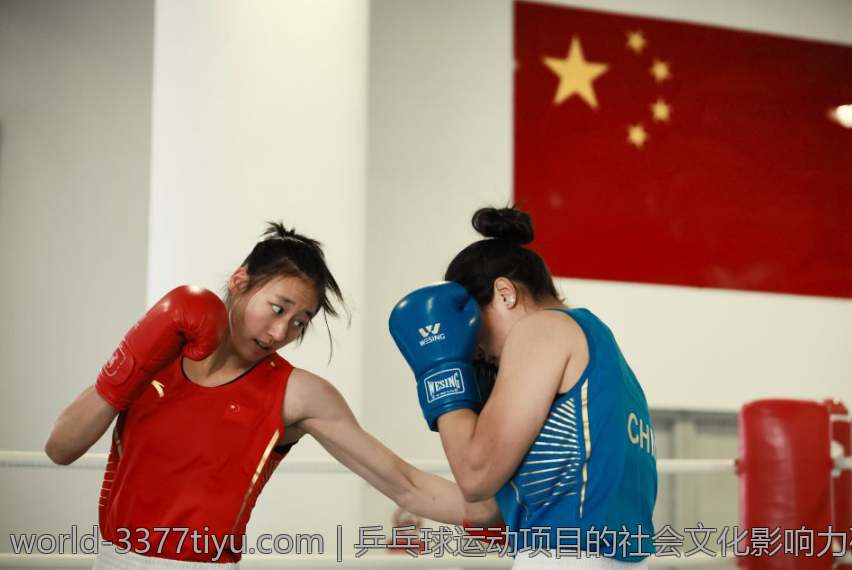 乒乓球运动项目的社会文化影响力研究